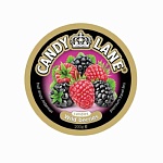 Леденцы жесть CANDY LANE  фрукт. лесные ягоды 200 г. (Сладкая сказка) 